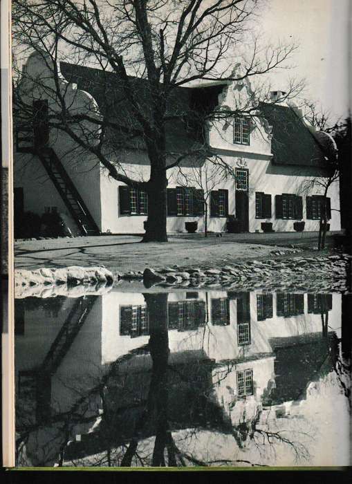 STELLENBOSCH by ALICE MERTENCE