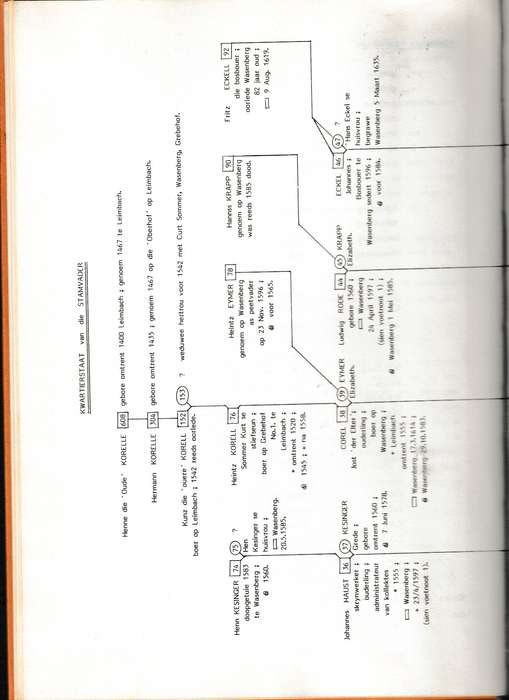 EEN FAMILIE, STEYNBERG, STEENBERG, STEINBERG deur LIESELORE STEYNBERG