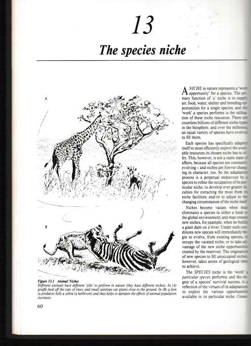 THE WILDLIFE GAME by RON THOMSON * SIGNED *