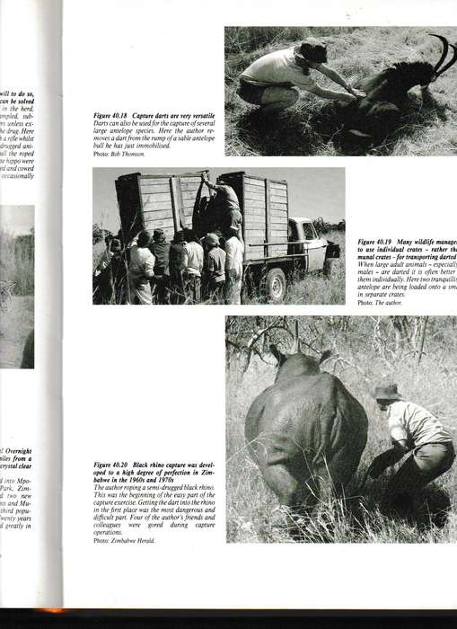 THE WILDLIFE GAME by RON THOMSON * SIGNED *