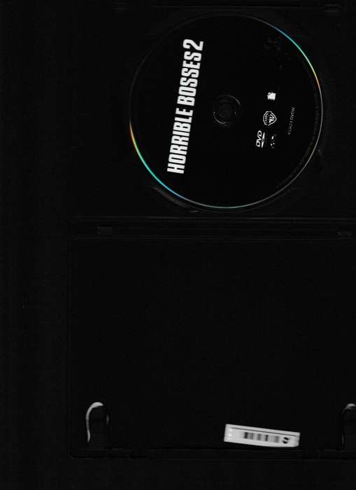 HORRIBILE BOSSES 2 DVD