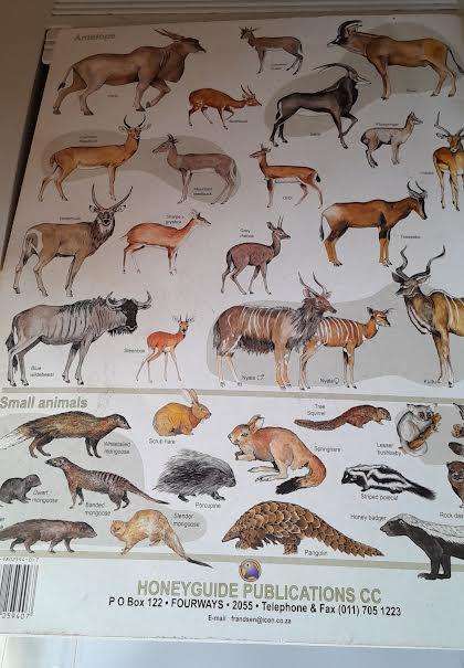 The Kruger National Park Map English(2007)