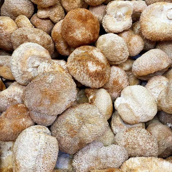 Dried lions mane mushroom (100g)
