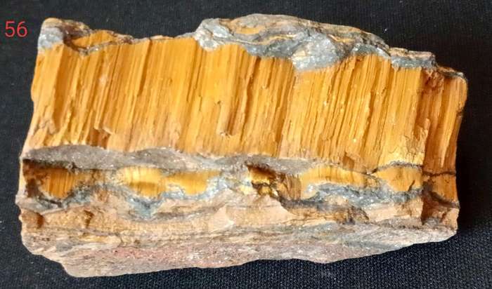 Tiger's Eye