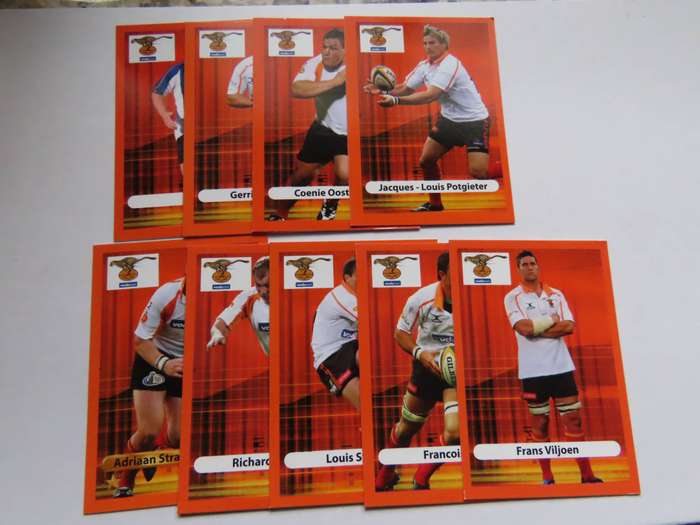 Rugby - 27 Cheetas Cards