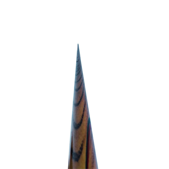 Pool Cue with Case