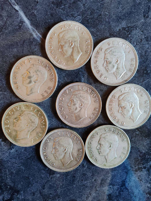 8 × South Africa 5 Shillings  1951 (50% Silver) - LOT 12
