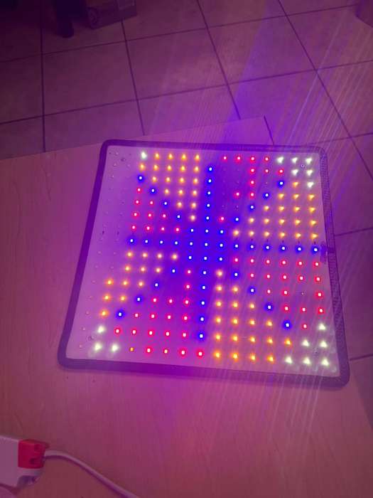 600w Plant Growing LED Light