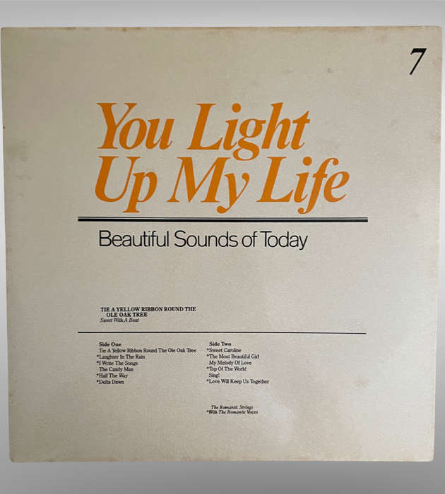 You Light Up My Life  8 LP Vinyl Box Set | Readers Digest Beautiful Sounds of Today