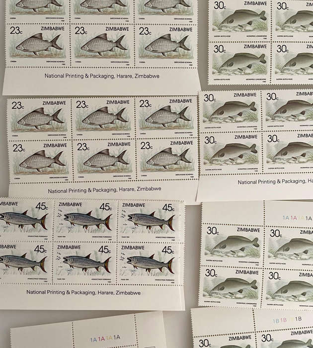 1989 Zimbabwe Fish Stamp Sheets  6 Denominations  Full Sets  234 MNH Stamps