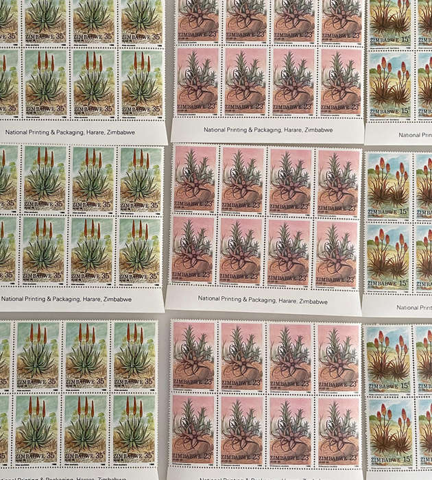 1988 Zimbabwe Aloe Stamp Lot  252 MNH Stamps  With Botanical Names  Blocks & Pairs