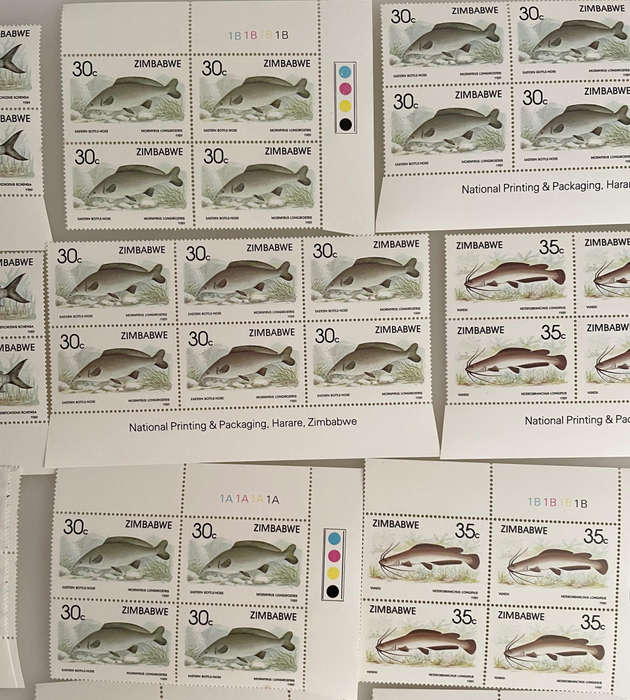 1989 Zimbabwe Fish Stamp Sheets  6 Denominations  Full Sets  234 MNH Stamps