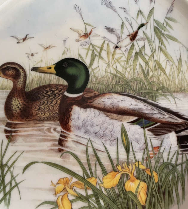 Vintage 1970s Huguenot Royale Mallard Ducks Rimmed Side Plate - 19.5 cm