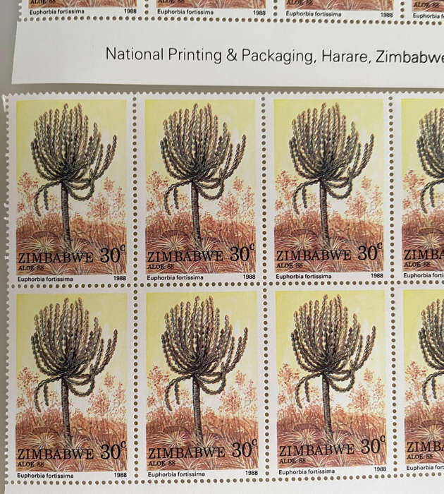 1988 Zimbabwe Aloe Stamp Lot  252 MNH Stamps  With Botanical Names  Blocks & Pairs