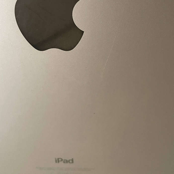 Apple iPad Pro 10.5-inch 64GB (Model MQEY2HC/A)  WiFi + Cellular  Superb Condition with Carry Bag