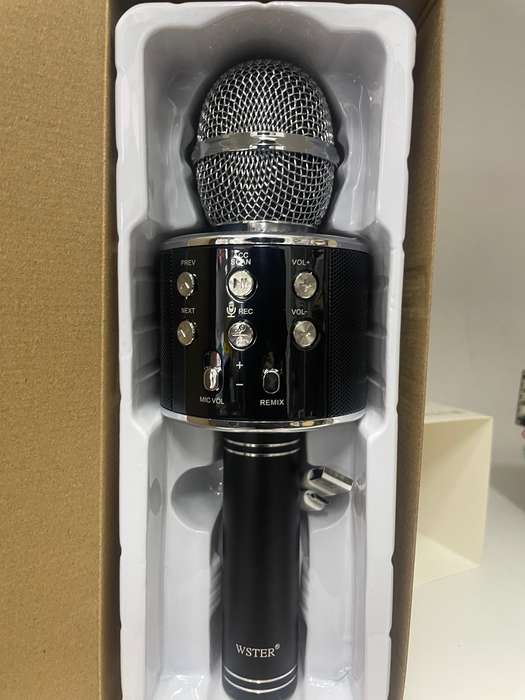 MICROPHONE SPEAKER WSTER WS-858