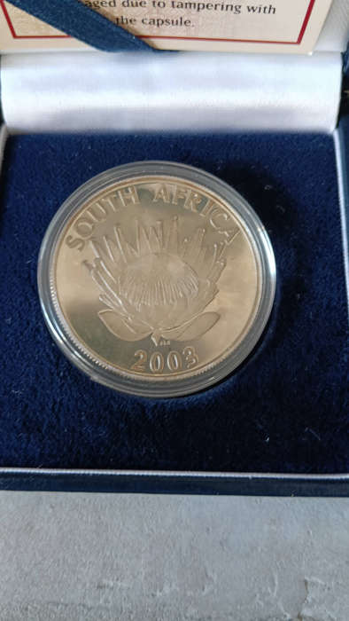 Mint Condition Protea Series Cricket 2003 R1 Sterling Silver Coin