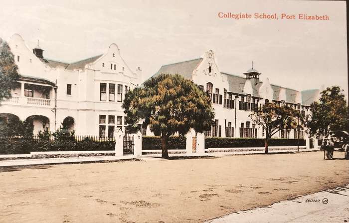 Vintage South African / Port Elizabeth Collegiate School  post card