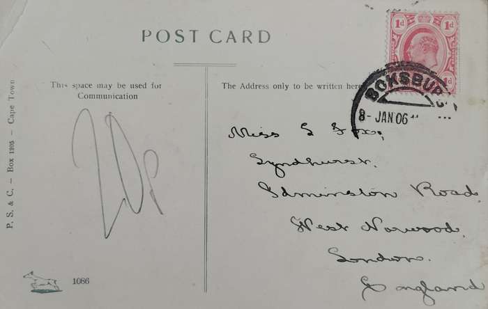 Vintage Picture post card - Devils Peak - Cape Town  (1906) - used