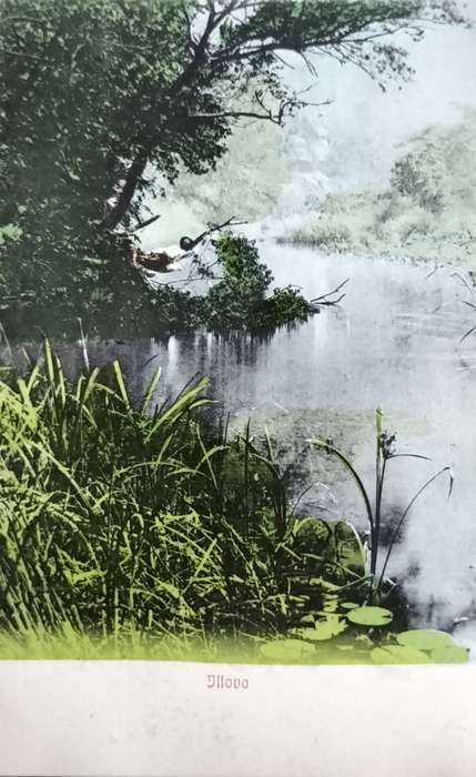 Antique Post card - Illovo