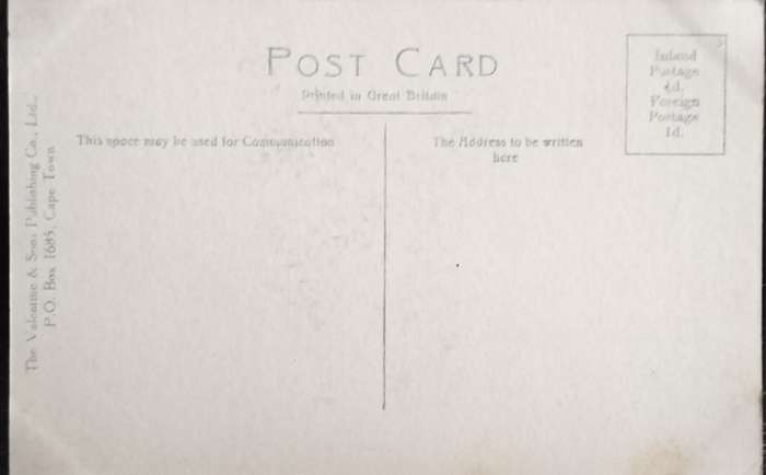 Antique Post card - Cape Town - Adderley Street