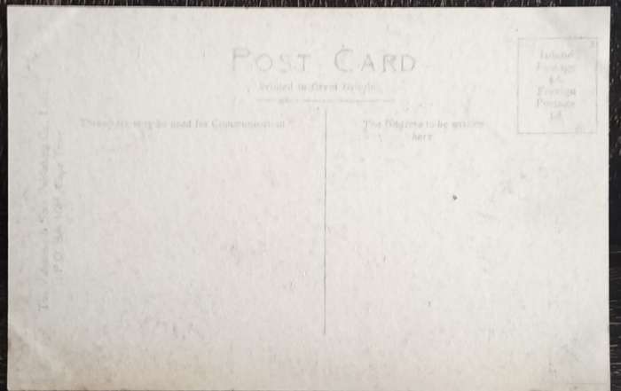 Antique Post card - Cape Town - Avenue Oranjezicht
