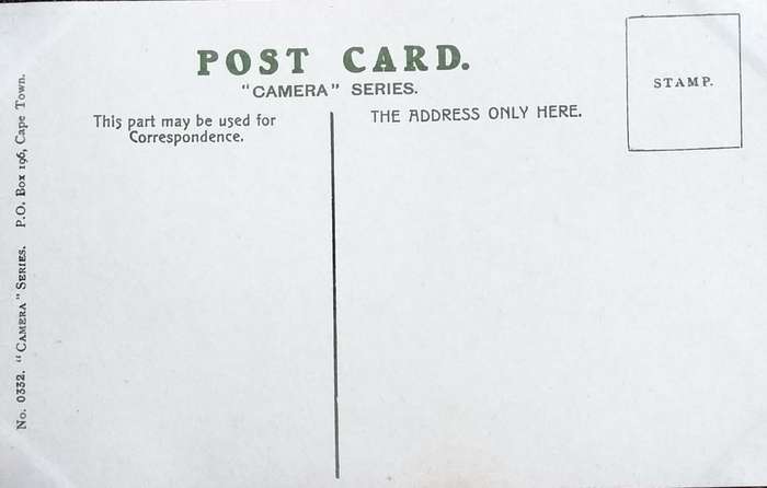 Antique Post Cards - South Africa - Lions Head silver leaf trees