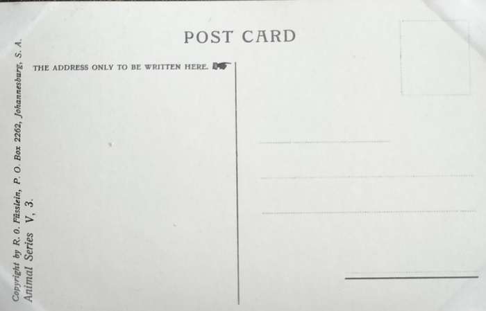 Antique Post Card art by Egersdorfer. Animal series V, 3 (with issue)