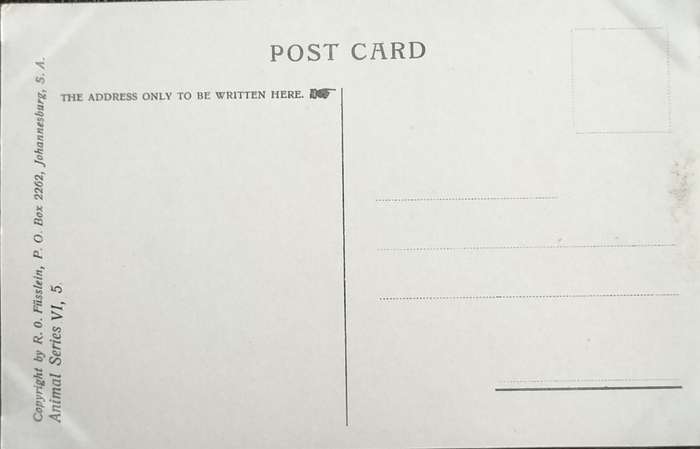 Antique Post Card art by Egersdorfer. Animal series VI, 5