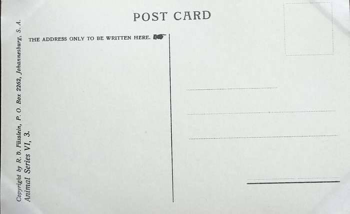Antique Post Card art by Egersdorfer. Animal series VI, 3