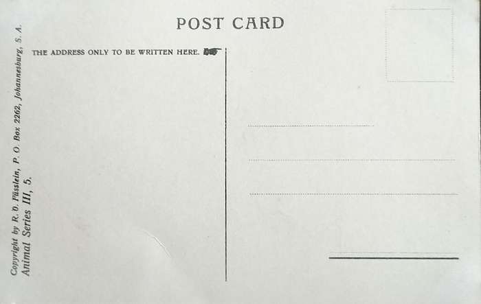Antique Post Card art by Egersdorfer. Animal series III, 5