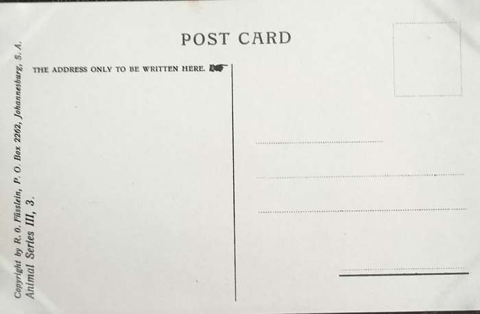 Antique Post Card art by Egersdorfer. Animal series III, 3
