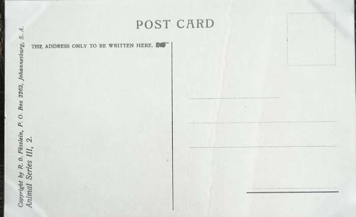 Antique Post Card art by Egersdorfer. Animal series III, 2