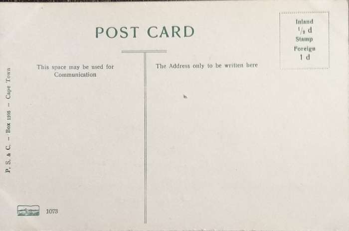 Antique Post Cards - South Africa - Pietermaritzburg West Street
