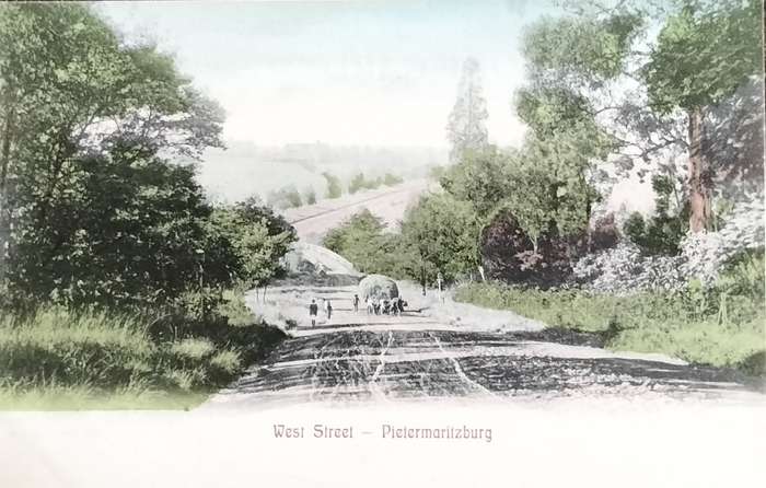 Antique Post Cards - South Africa - Pietermaritzburg West Street