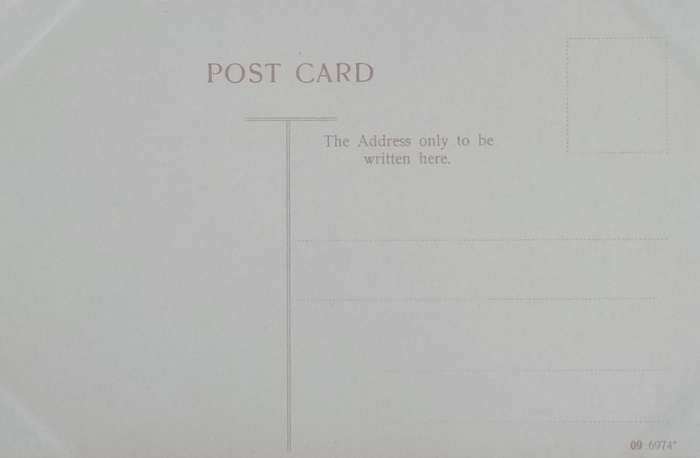Vintage Post card - South African Ox