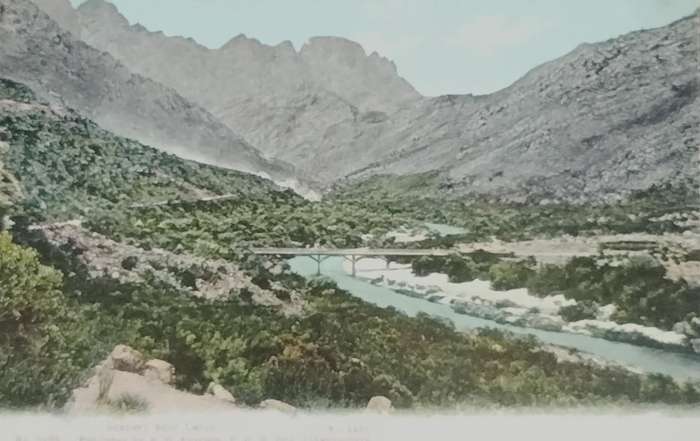 Vintage Post card - South Africa - Scenery near Ceres