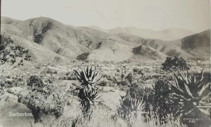 Vintage Post card - South Africa - Barberton