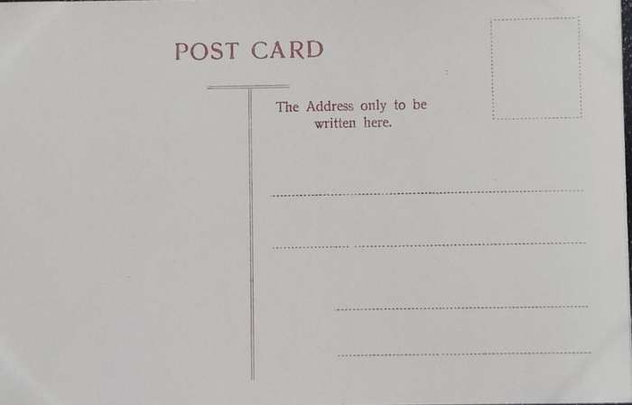 Vintage Post card - Rhodesia - Livingstone Tree Vic Falls