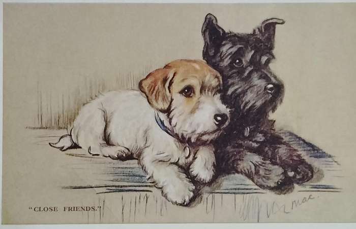 Vintage Post card - Dogs