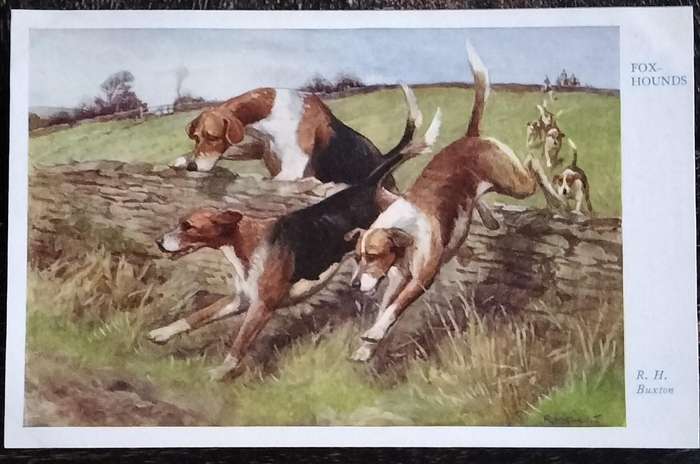 Vintage Post Card - Dogs