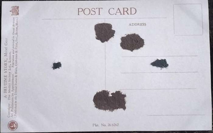 Vintage Post Card - Dogs