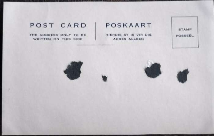 Vintage Post Card - Dogs
