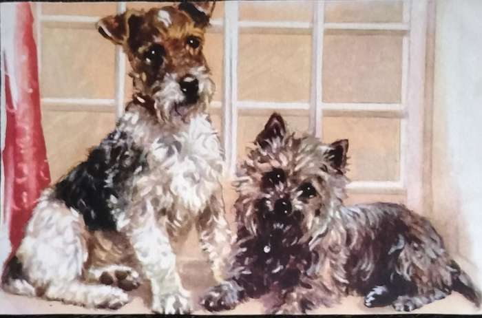 Vintage Post Card - Dogs