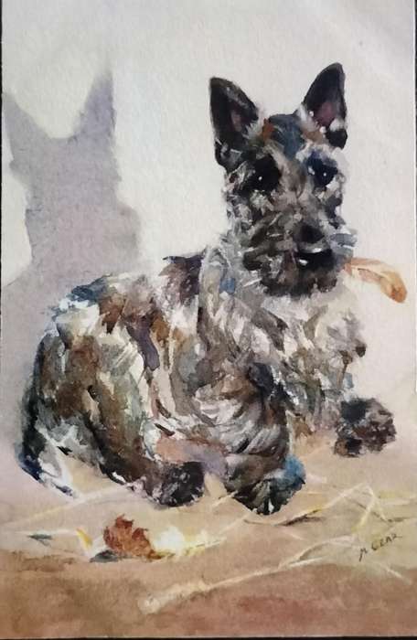 Vintage Post Card - Dogs