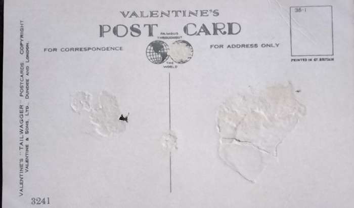 Vintage Post Card - Dogs