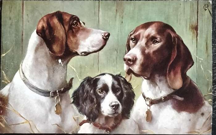 Vintage Post Card - Dogs