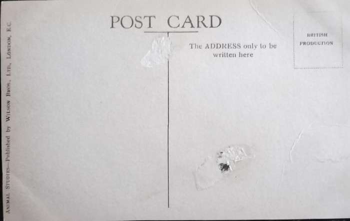 Vintage Post Card - Dogs