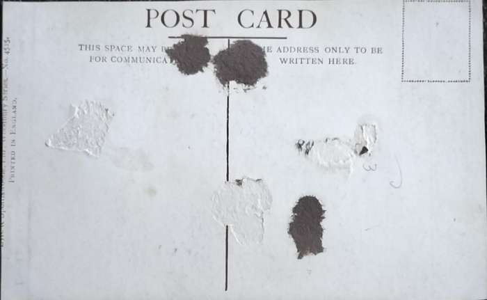 Vintage Post Card - Dogs