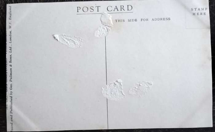Vintage Post Card - Dogs